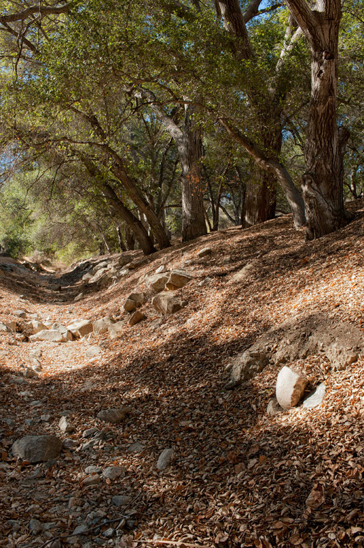Rancho Deluxe SA Creek Beds Picture 9