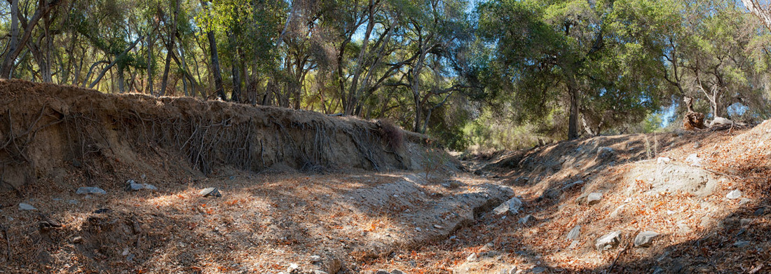 Rancho Deluxe SA Creek Beds Picture 10