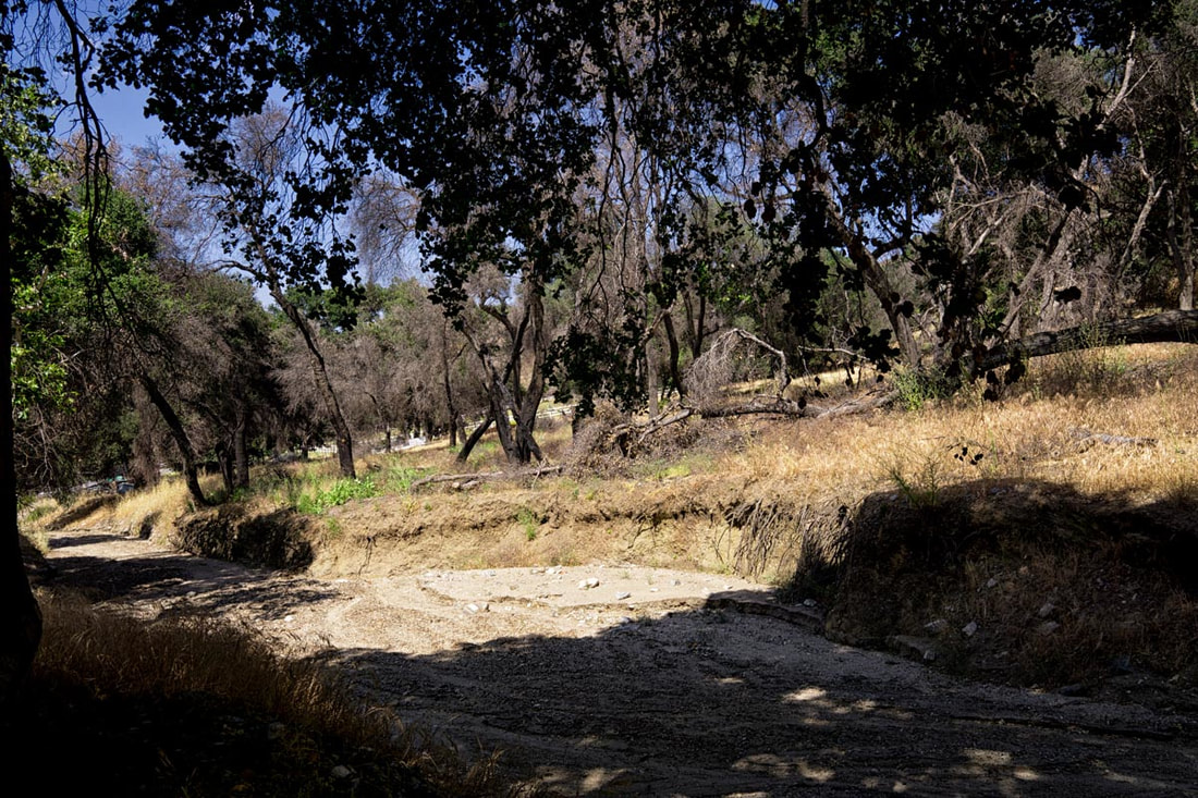 Rancho Deluxe SA Creek Beds Picture 11