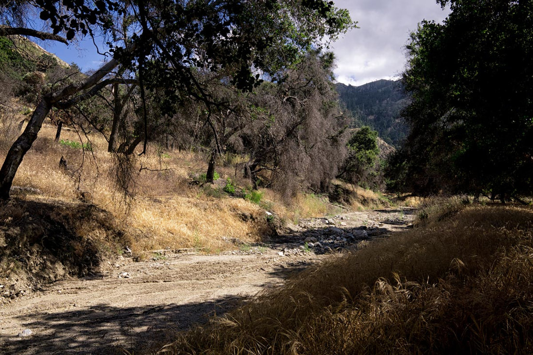 Rancho Deluxe SA Creek Beds Picture 12