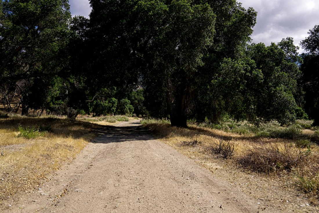 Rancho Deluxe SA Dirts Roads Picture 4