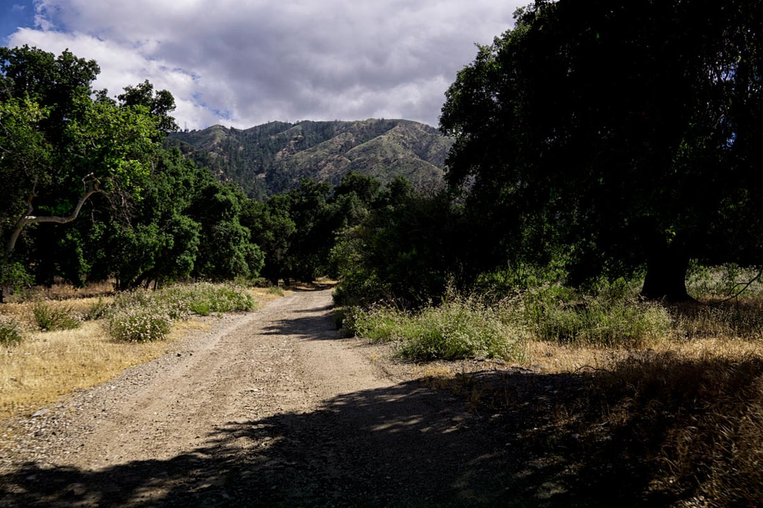Rancho Deluxe SA Dirts Roads Picture 5