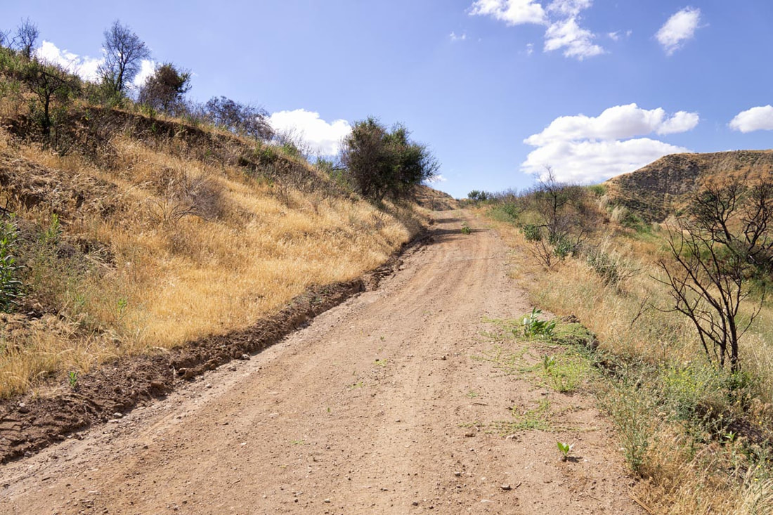 Rancho Deluxe SA Dirts Roads Picture 6