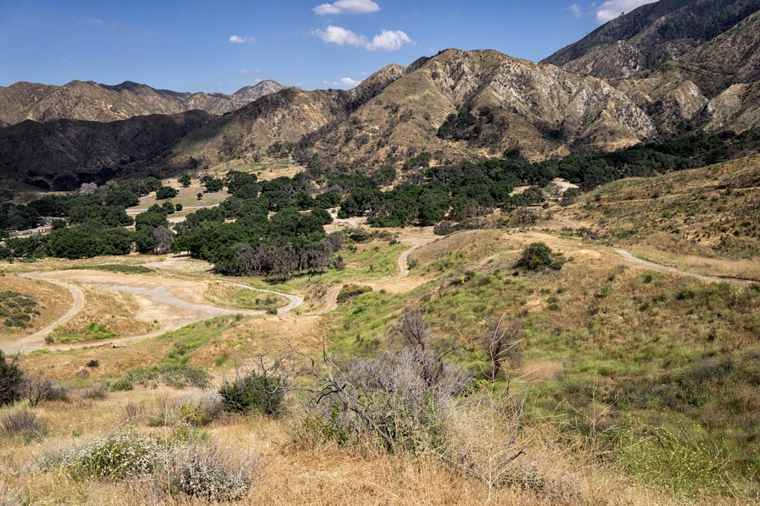 Rancho Deluxe SA Dirts Roads Picture 7