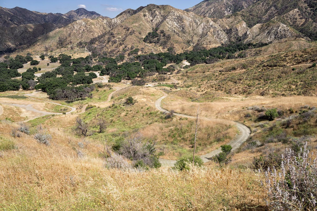 Rancho Deluxe SA Dirts Roads Picture 8