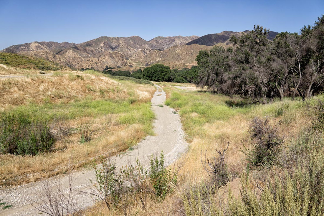 Rancho Deluxe SA Dirts Roads Picture 10