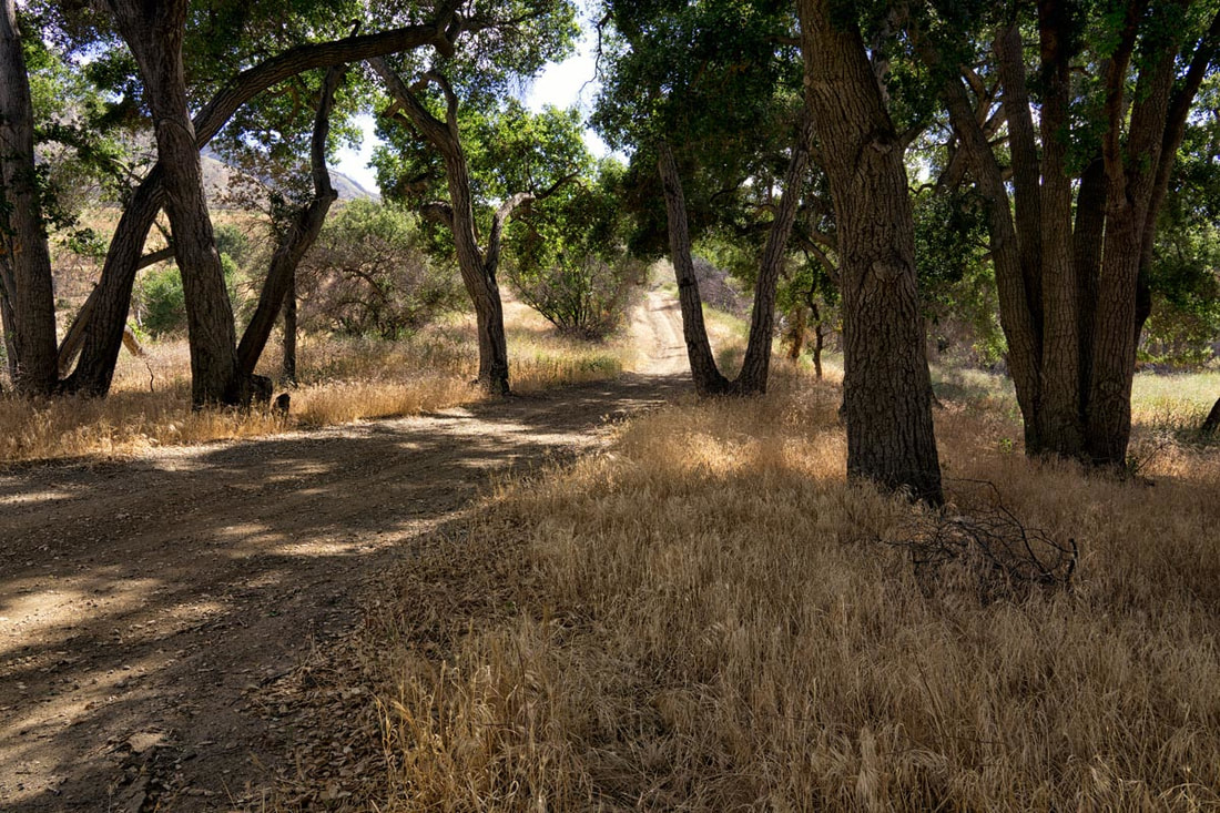 Rancho Deluxe SA Dirts Roads Picture 11