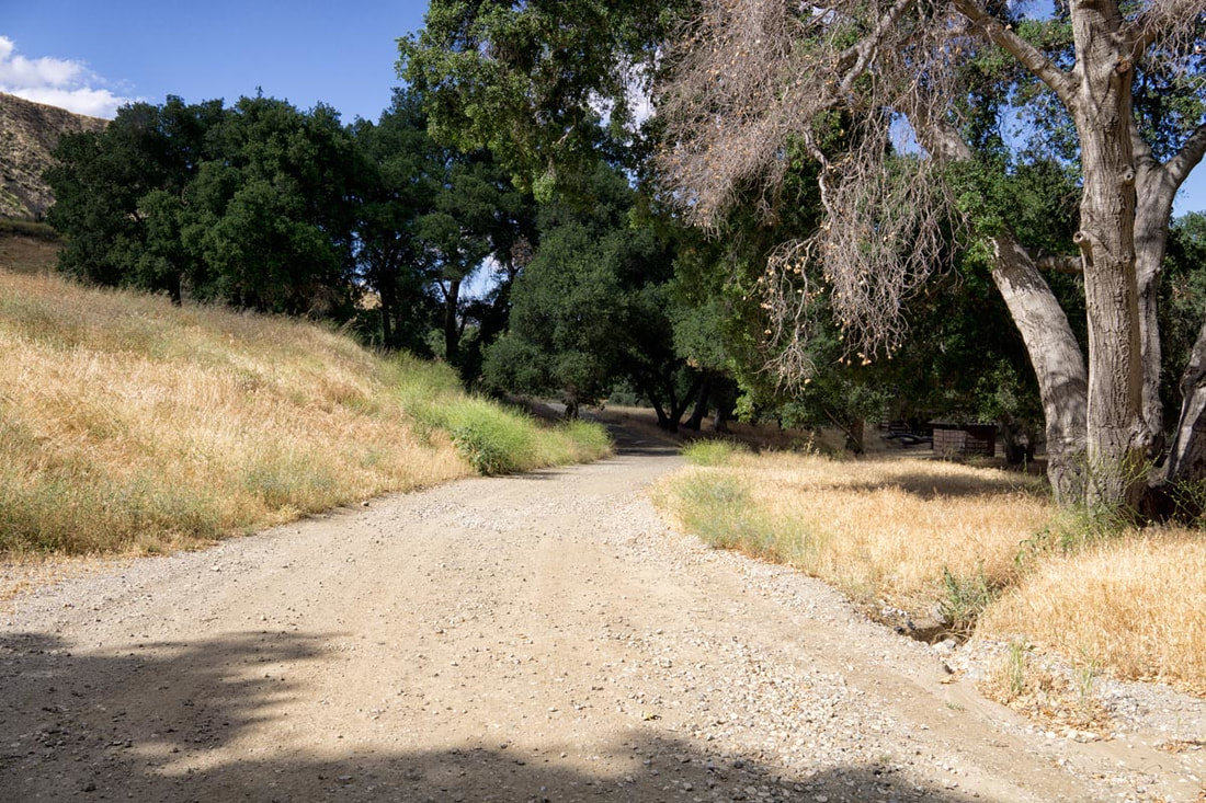 Rancho Deluxe SA Dirts Roads Picture 12