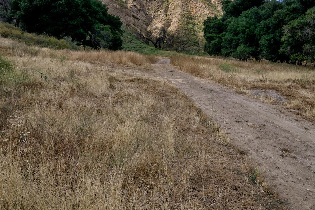 Rancho Deluxe SA Dirts Roads Picture 13