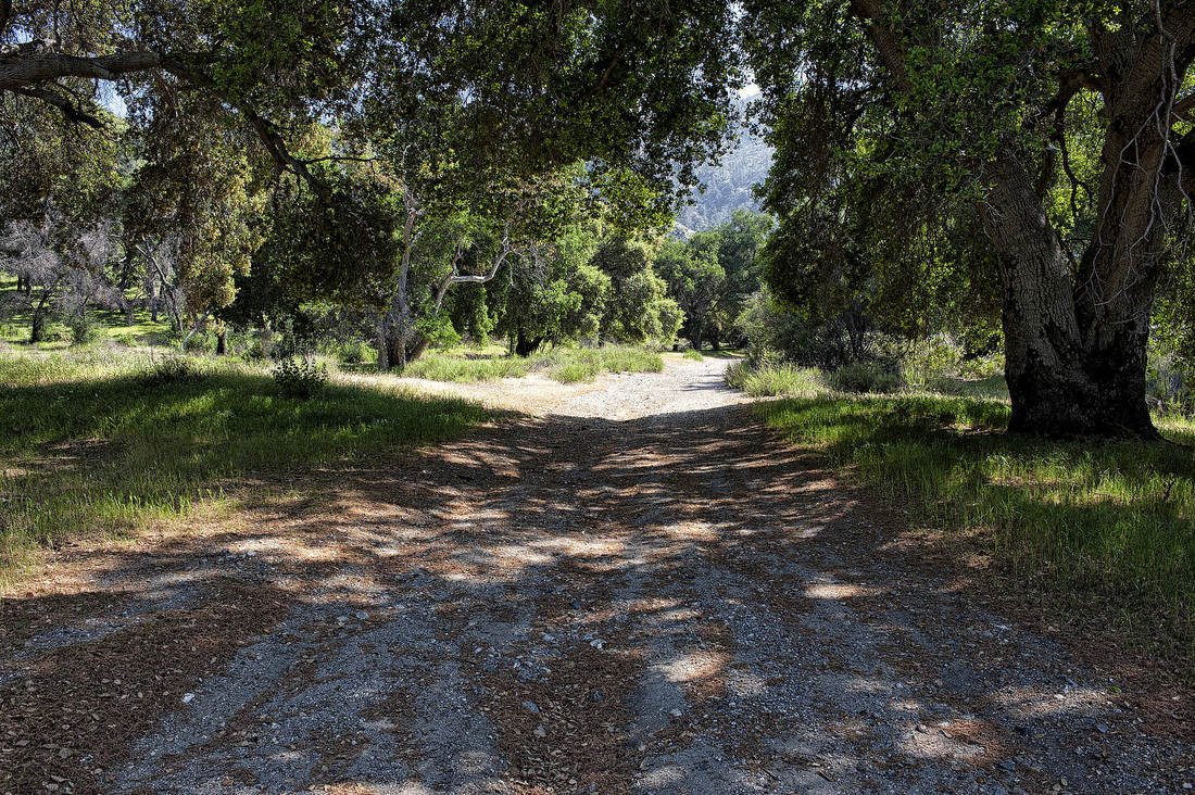 Rancho Deluxe SA Dirts Roads Picture 16