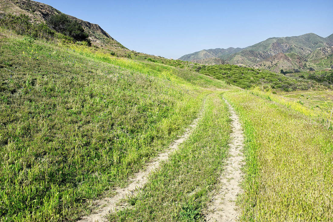 Rancho Deluxe SA Dirts Roads Picture 21