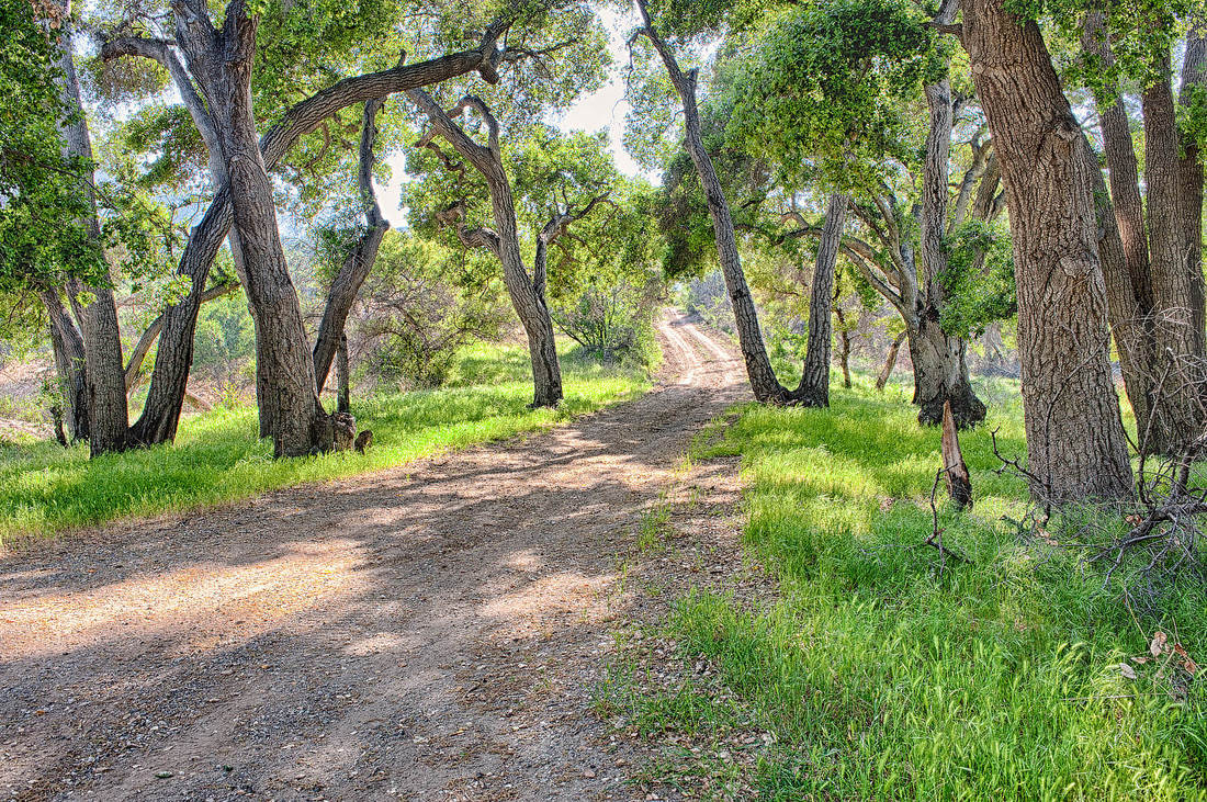 Rancho Deluxe SA Dirts Roads Picture 22
