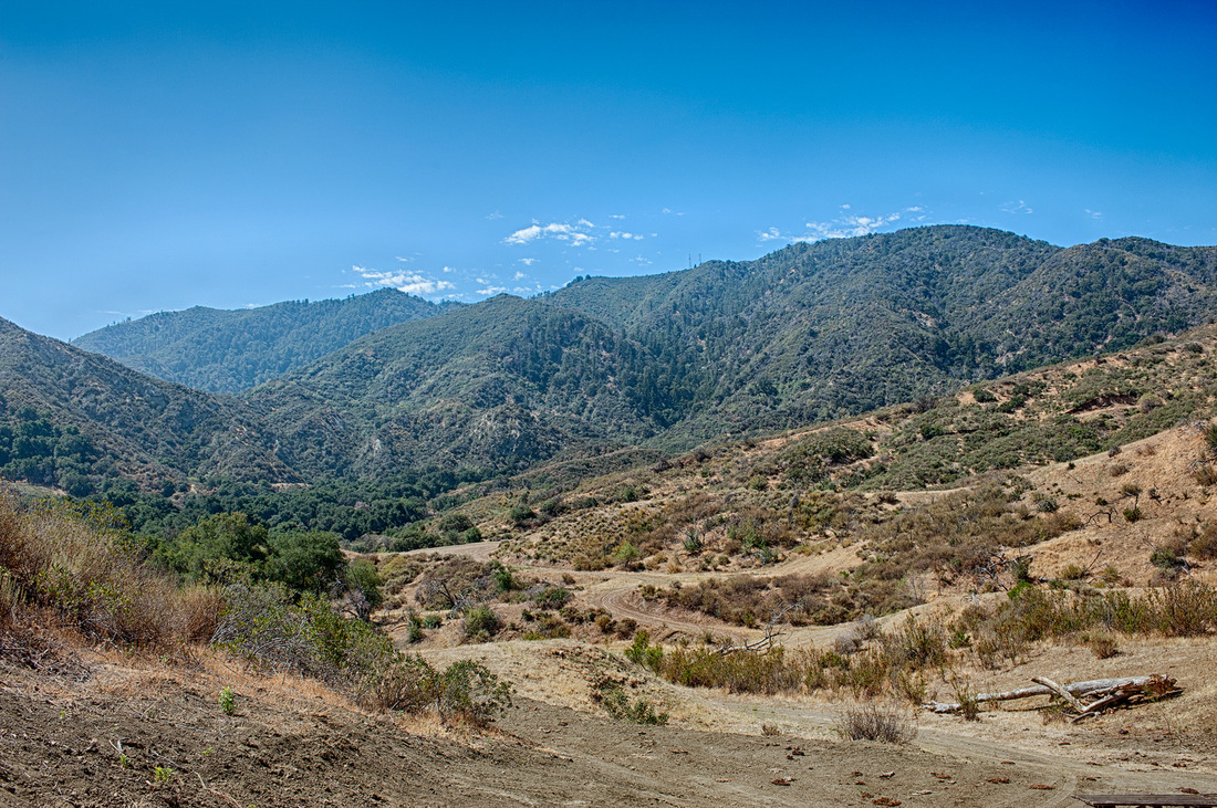 Rancho Deluxe SA Forests Picture 9