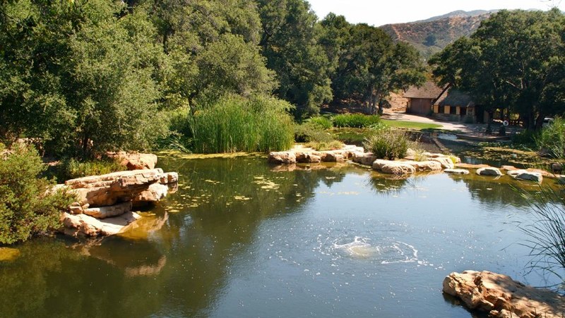 Rancho Deluxe SA Lake, Pond & Waterfalls Picture 5