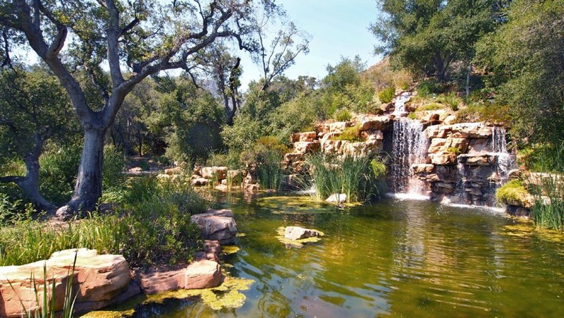 Rancho Deluxe SA Lake, Pond & Waterfalls Picture 8