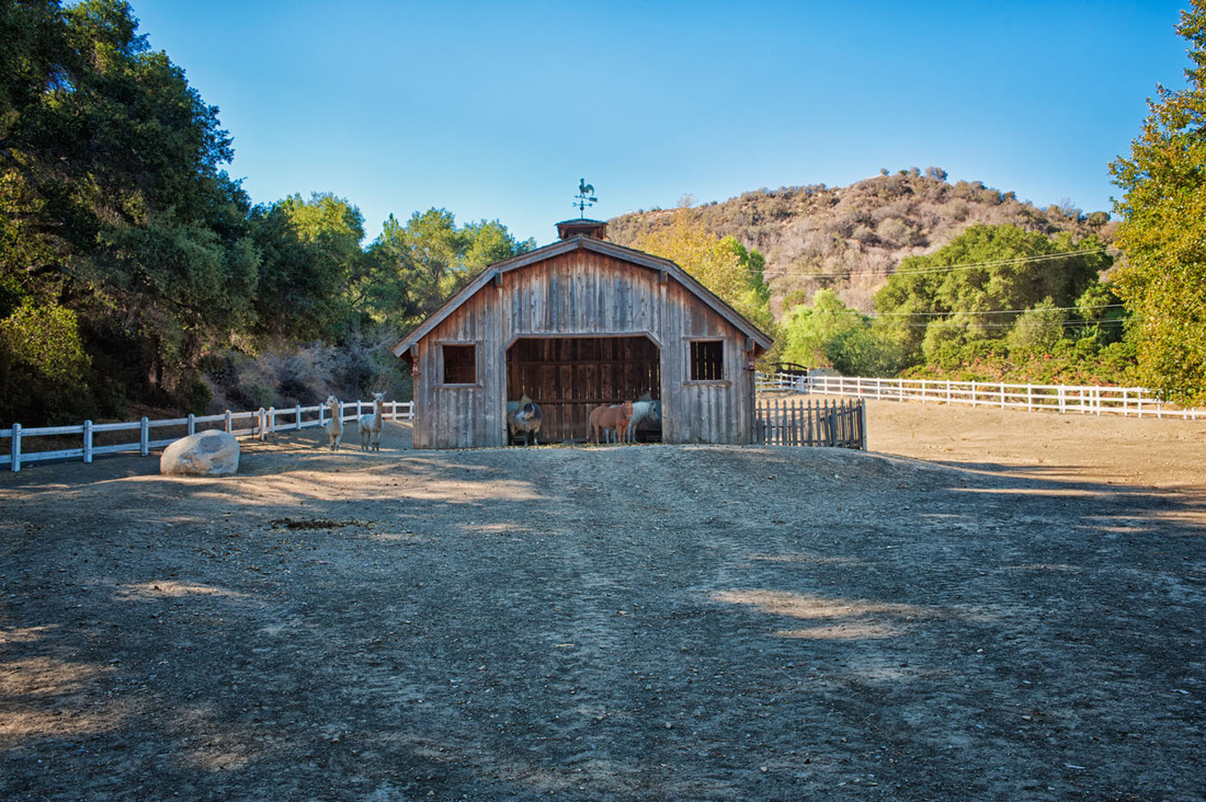 Rancho Deluxe SA Mini Barn Picture 2