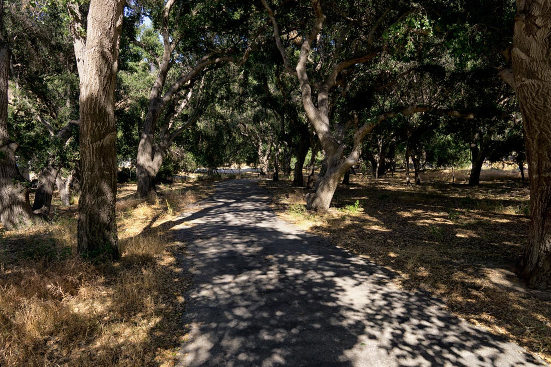 Rancho Deluxe SA Paved Roads Picture 2