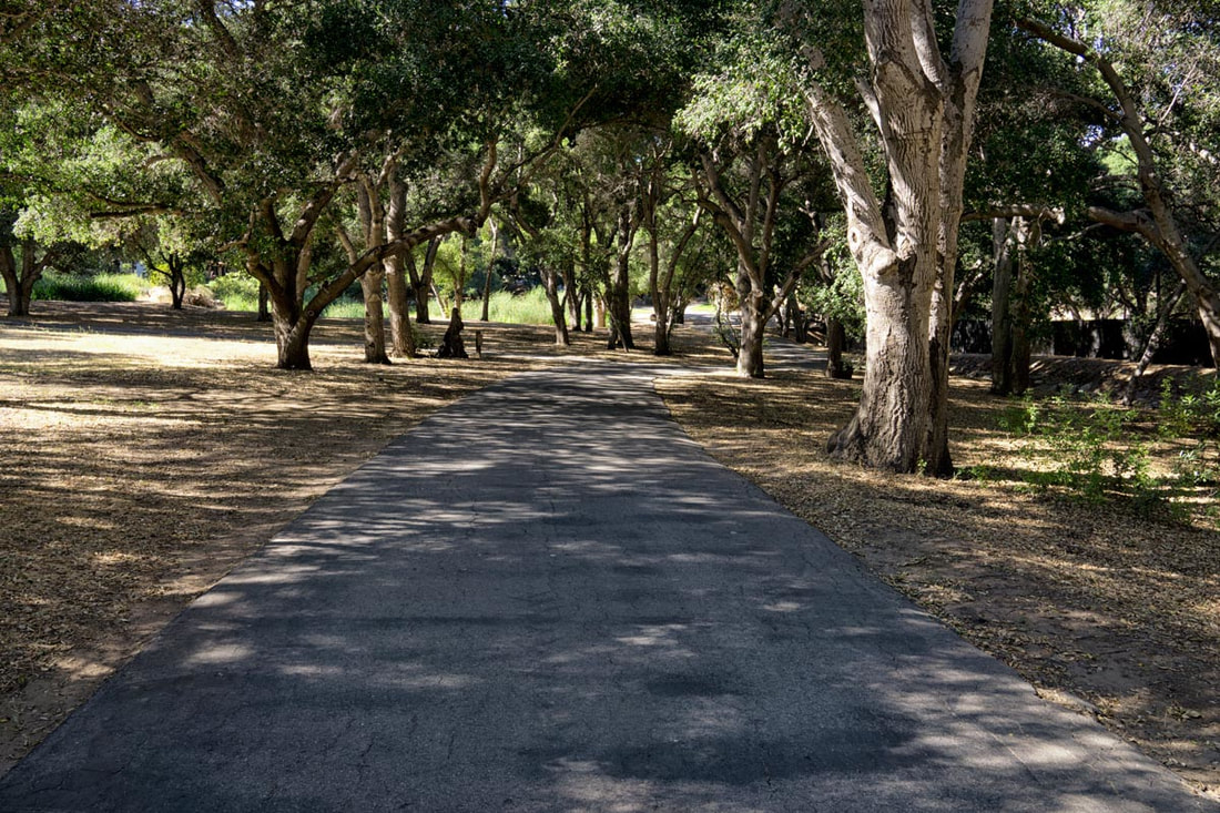 Rancho Deluxe SA Paved Roads Picture 4