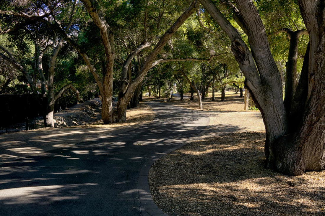 Rancho Deluxe SA Paved Roads Picture 12