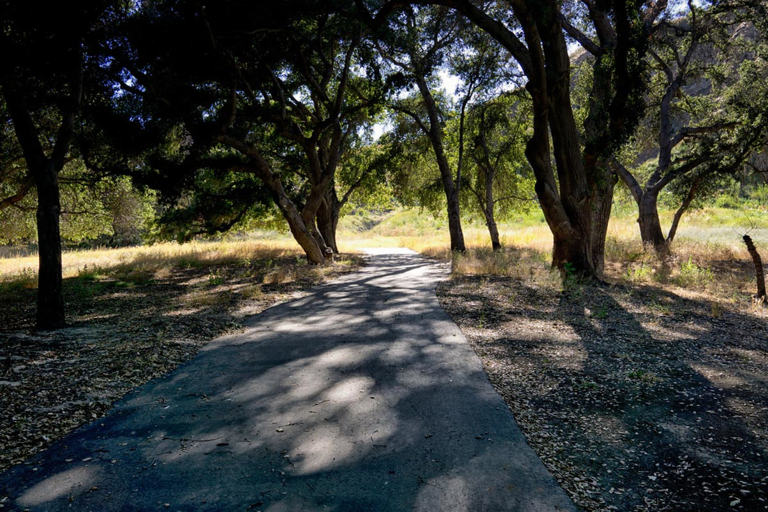 Rancho Deluxe SA Paved Roads Picture 14