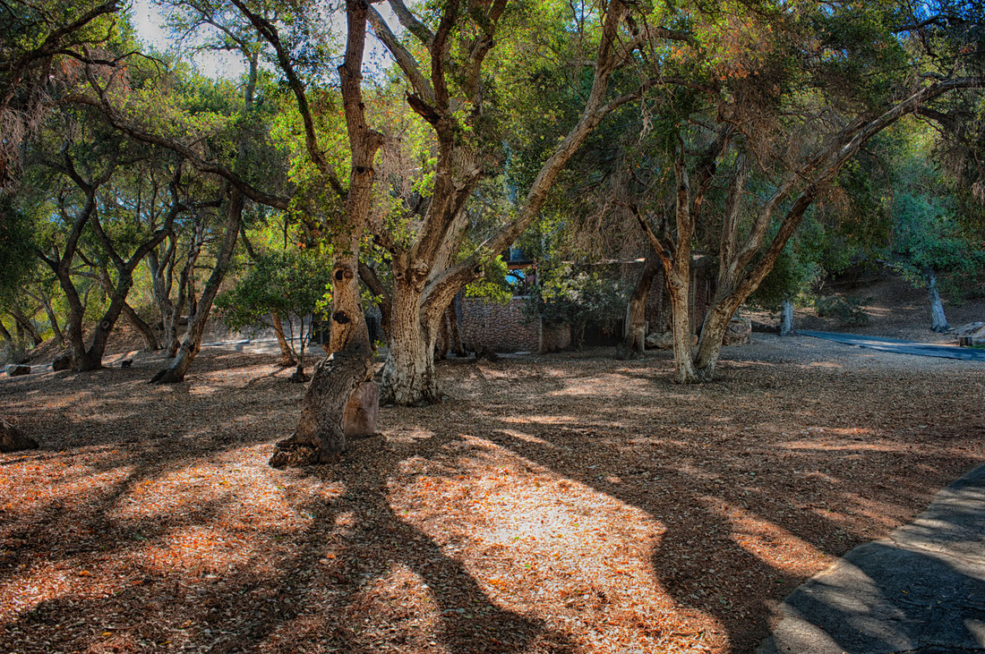 Rancho Deluxe SA Rustic Cabin Picture 003
