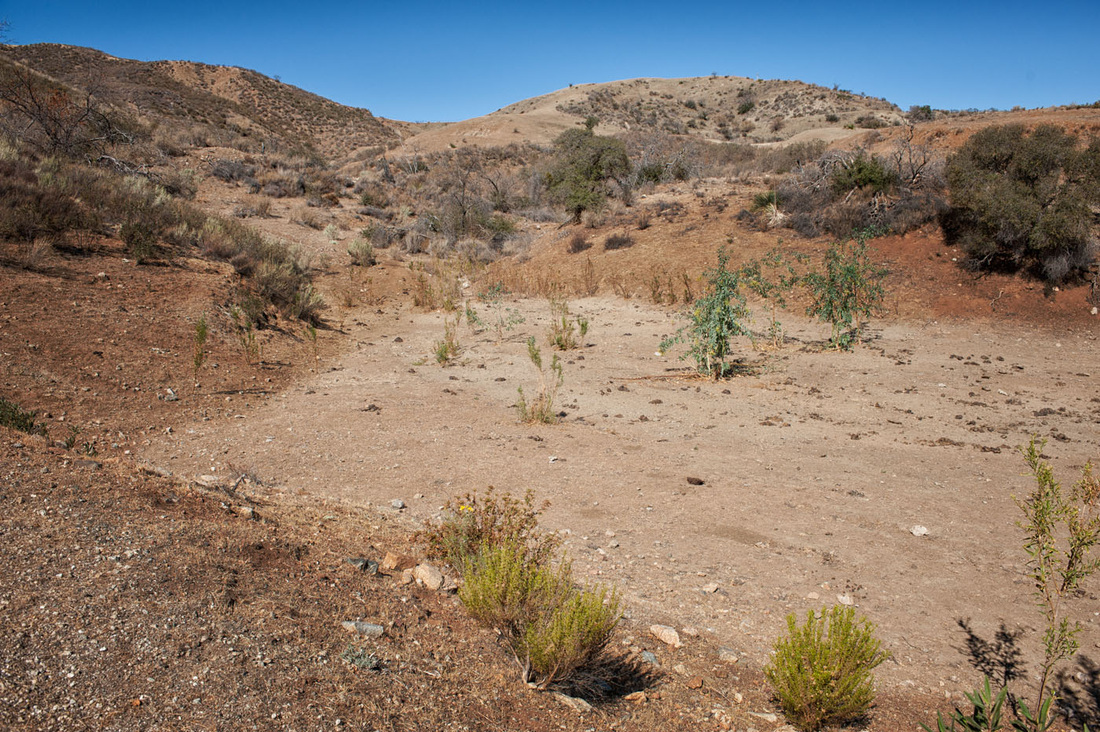 Rancho Deluxe SA Wooded Areas, Meadows & Open Hillsides Picture 9