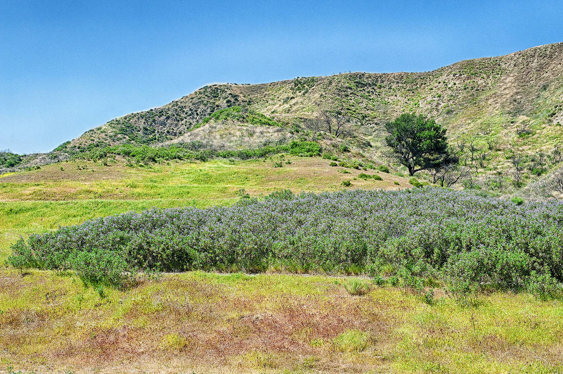 Rancho Deluxe SA Wooded Areas, Meadows & Open Hillsides Picture 14