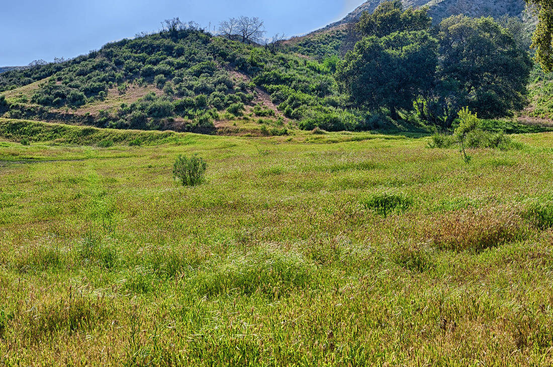 Rancho Deluxe SA Wooded Areas, Meadows & Open Hillsides Picture 17