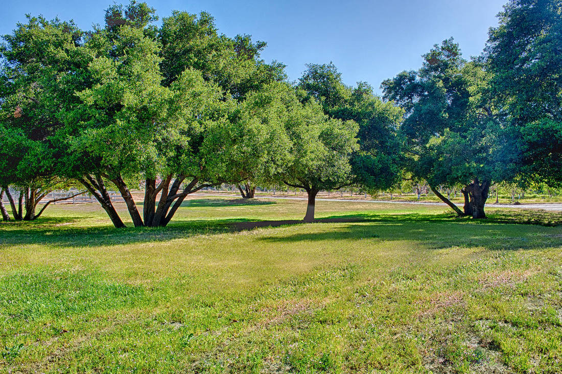 Rancho Deluxe SA Wooded Areas, Meadows & Open Hillsides Picture 18