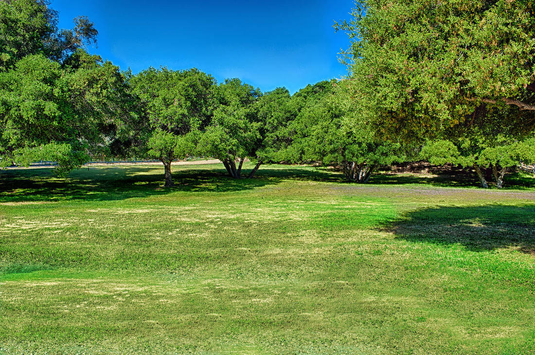 Rancho Deluxe SA Wooded Areas, Meadows & Open Hillsides Picture 19