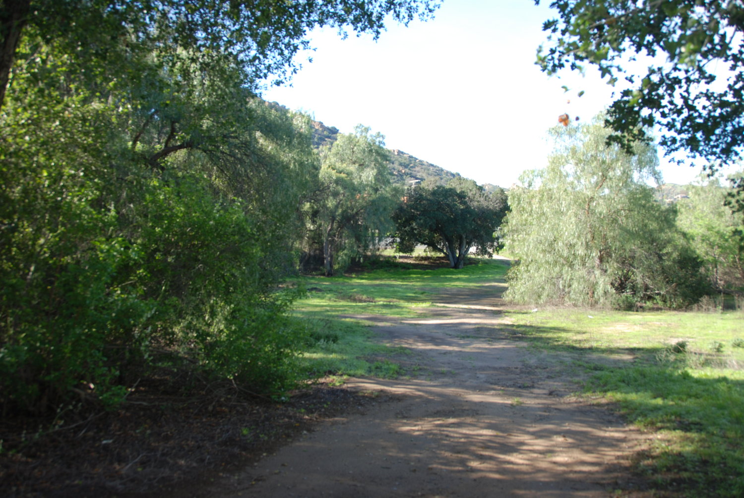 Allied Studios SA Country Side Picture 002