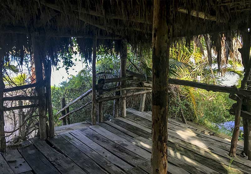 Cape Town Film Studios SA Tropical Forest Set Picture 3